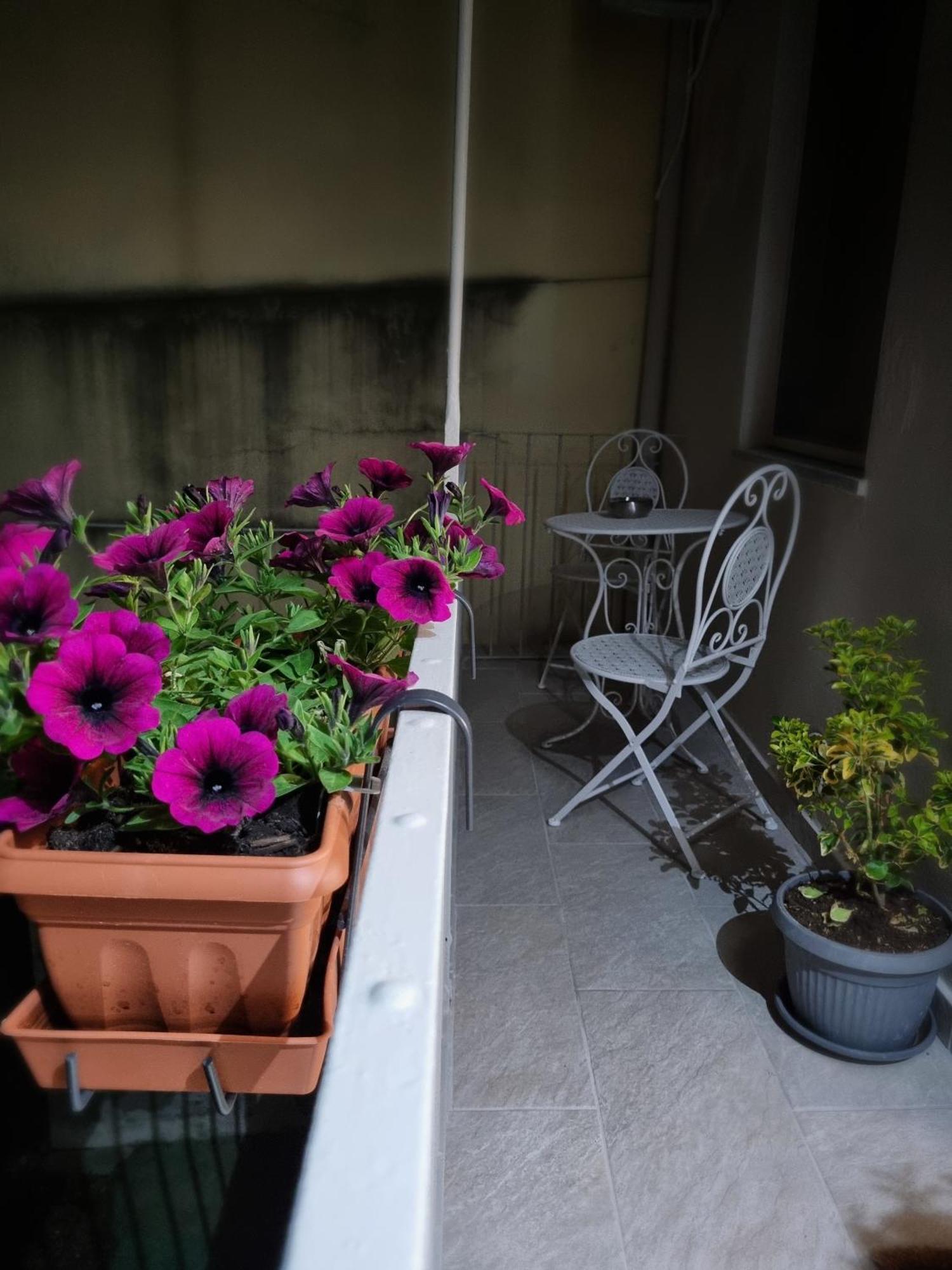 Ca Fiamma 2 Lägenhet Casale Monferrato Exteriör bild